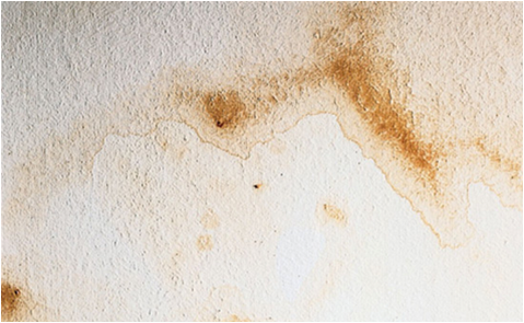 manchas pared