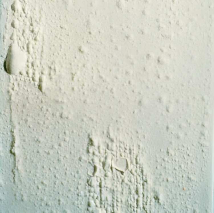empollamientos_de_la_pared